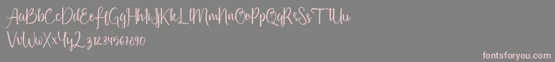 Firdaus-Schriftart – Rosa Schriften auf grauem Hintergrund