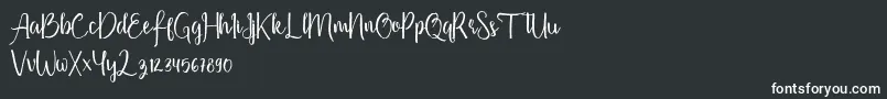 Firdaus Font – White Fonts