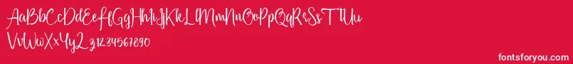 Firdaus Font – White Fonts on Red Background