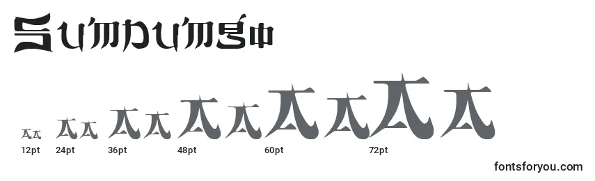 Размеры шрифта Sumdumgo