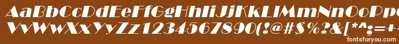 MarqueeItalic Font – White Fonts on Brown Background