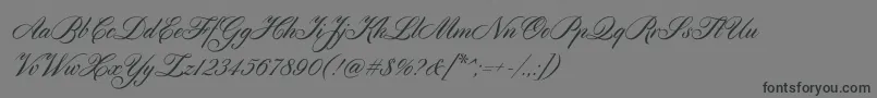 Шрифт Cylburn – чёрные шрифты на сером фоне