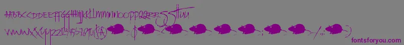 Шрифт DkRatInfestedMailbox – фиолетовые шрифты на сером фоне
