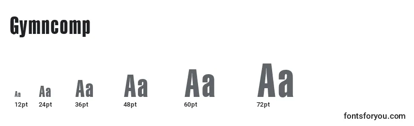Gymncomp Font Sizes
