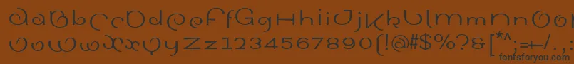 SinahsansLtRoman-fontti – mustat fontit ruskealla taustalla