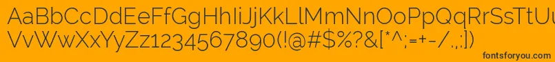 RalewayLight Font – Black Fonts on Orange Background