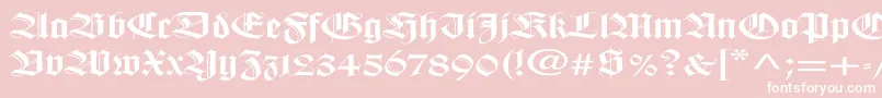 WilhelmklingsporgotischEx Font – White Fonts on Pink Background