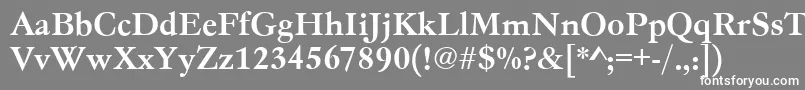 Garamondno4teemed Font – White Fonts on Gray Background