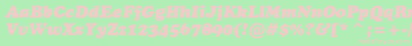 CooperblackcbtItalic Font – Pink Fonts on Green Background