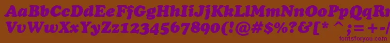 CooperblackcbtItalic Font – Purple Fonts on Brown Background