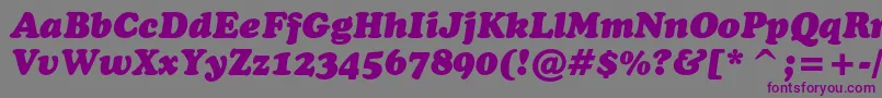 More about CooperblackcbtItalic Font CooperblackcbtItalic Font – Purple Fonts on Gray Background