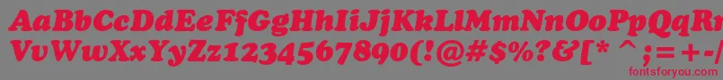 CooperblackcbtItalic Font – Red Fonts on Gray Background