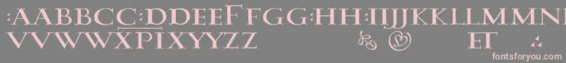 DamasusLdr Font – Pink Fonts on Gray Background