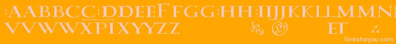 DamasusLdr Font – Pink Fonts on Orange Background