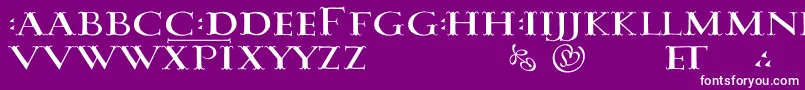 フォントDamasusLdr – 紫の背景に白い文字