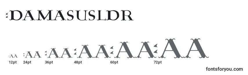 Размеры шрифта DamasusLdr