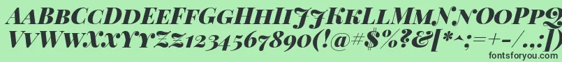 PlayfairDisplayScBlackItalic Font – Black Fonts on Green Background