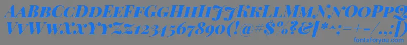 PlayfairDisplayScBlackItalic-Schriftart – Blaue Schriften auf grauem Hintergrund