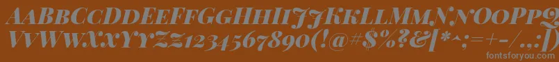 PlayfairDisplayScBlackItalic Font – Gray Fonts on Brown Background