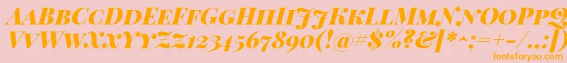 PlayfairDisplayScBlackItalic Font – Orange Fonts on Pink Background