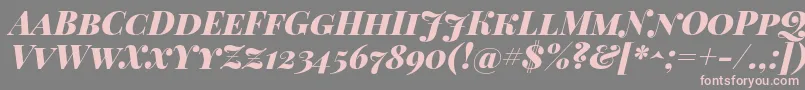 PlayfairDisplayScBlackItalic-Schriftart – Rosa Schriften auf grauem Hintergrund