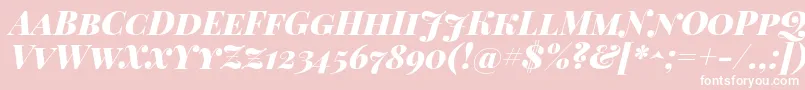 PlayfairDisplayScBlackItalic-Schriftart – Weiße Schriften auf rosa Hintergrund