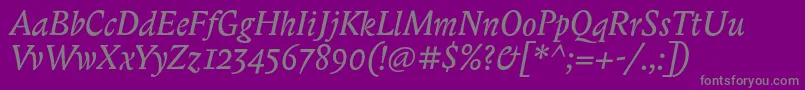 BiblonitcItalic Font – Gray Fonts on Purple Background
