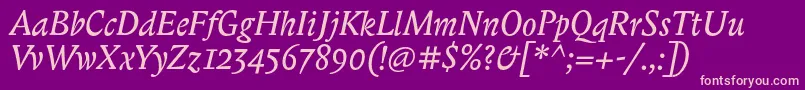 BiblonitcItalic Font – Pink Fonts on Purple Background