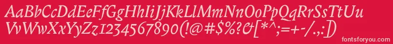 BiblonitcItalic Font – Pink Fonts on Red Background