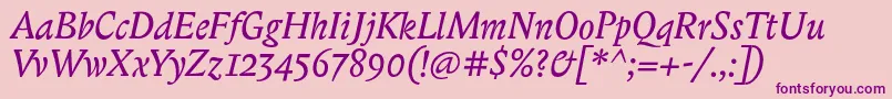 BiblonitcItalic Font – Purple Fonts on Pink Background