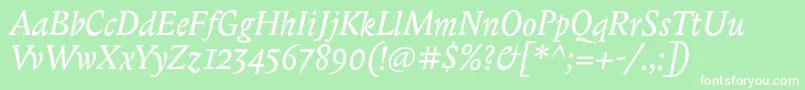 BiblonitcItalic Font – White Fonts on Green Background