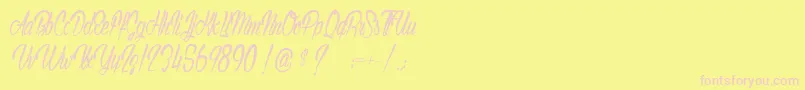 AuthenticHilton Font – Pink Fonts on Yellow Background