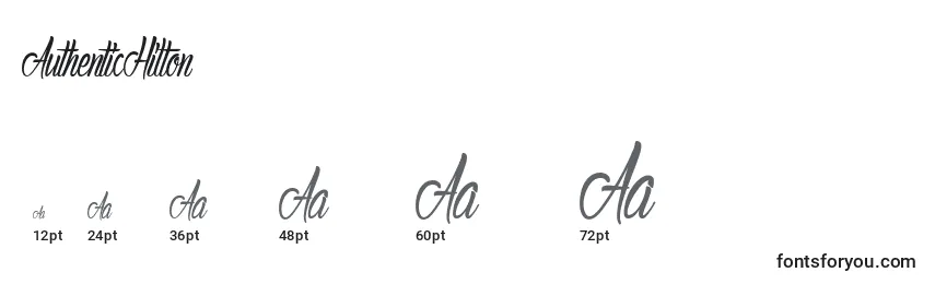 AuthenticHilton Font Sizes