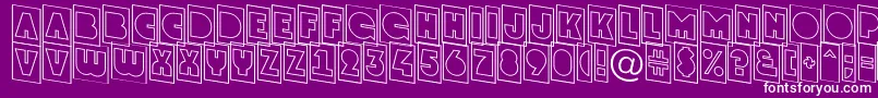 GrotocmotldnRegular Font – White Fonts on Purple Background