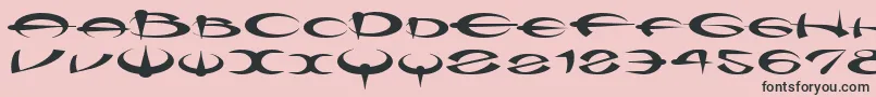 Myquerdd-Schriftart – Schwarze Schriften auf rosa Hintergrund
