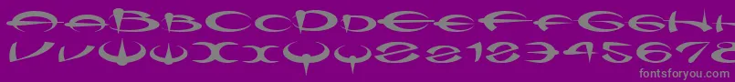 Myquerdd Font – Gray Fonts on Purple Background