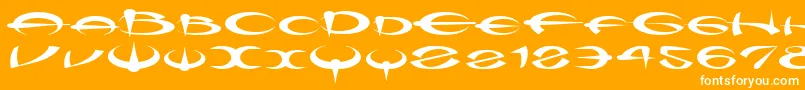 Myquerdd Font – White Fonts on Orange Background