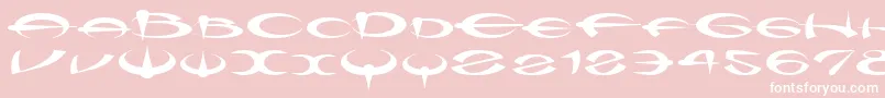 Myquerdd-Schriftart – Weiße Schriften auf rosa Hintergrund