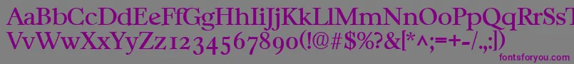 Шрифт CasablancaRegular – фиолетовые шрифты на сером фоне