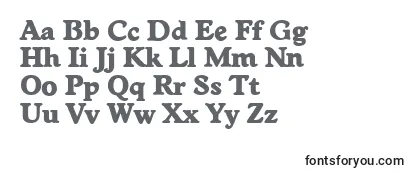 Review of the WorcesterserialHeavyRegular Font