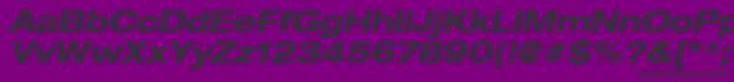 HelveticaLt73BoldExtendedOblique Font – Black Fonts on Purple Background