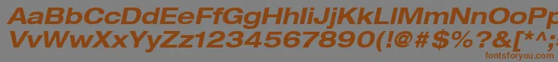 HelveticaLt73BoldExtendedOblique Font – Brown Fonts on Gray Background