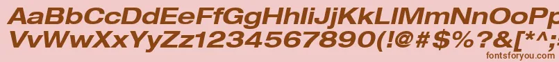 HelveticaLt73BoldExtendedOblique Font – Brown Fonts on Pink Background