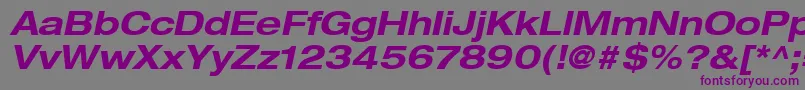 HelveticaLt73BoldExtendedOblique Font – Purple Fonts on Gray Background