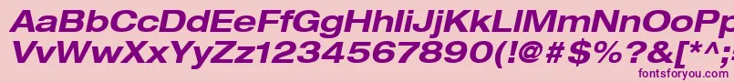 HelveticaLt73BoldExtendedOblique Font – Purple Fonts on Pink Background
