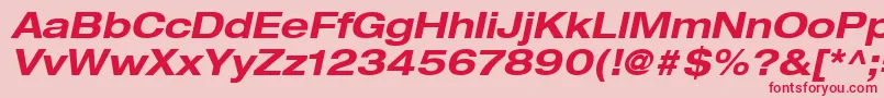 HelveticaLt73BoldExtendedOblique Font – Red Fonts on Pink Background