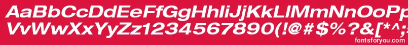 フォントHelveticaLt73BoldExtendedOblique – 赤い背景に白い文字