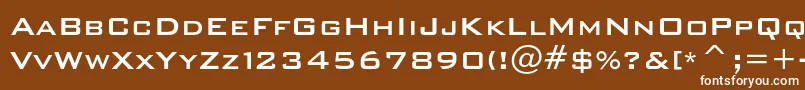 Bankgothicmediumc Font – White Fonts on Brown Background