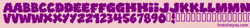 Shopliftersunite Font – Purple Fonts on Pink Background