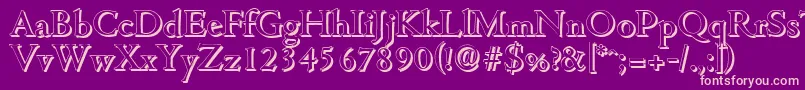 CambridgeshadowMediumRegular Font – Pink Fonts on Purple Background